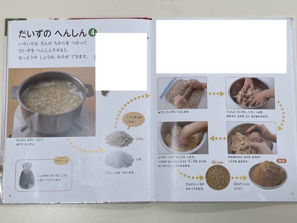 0512【年長】味噌作り体験