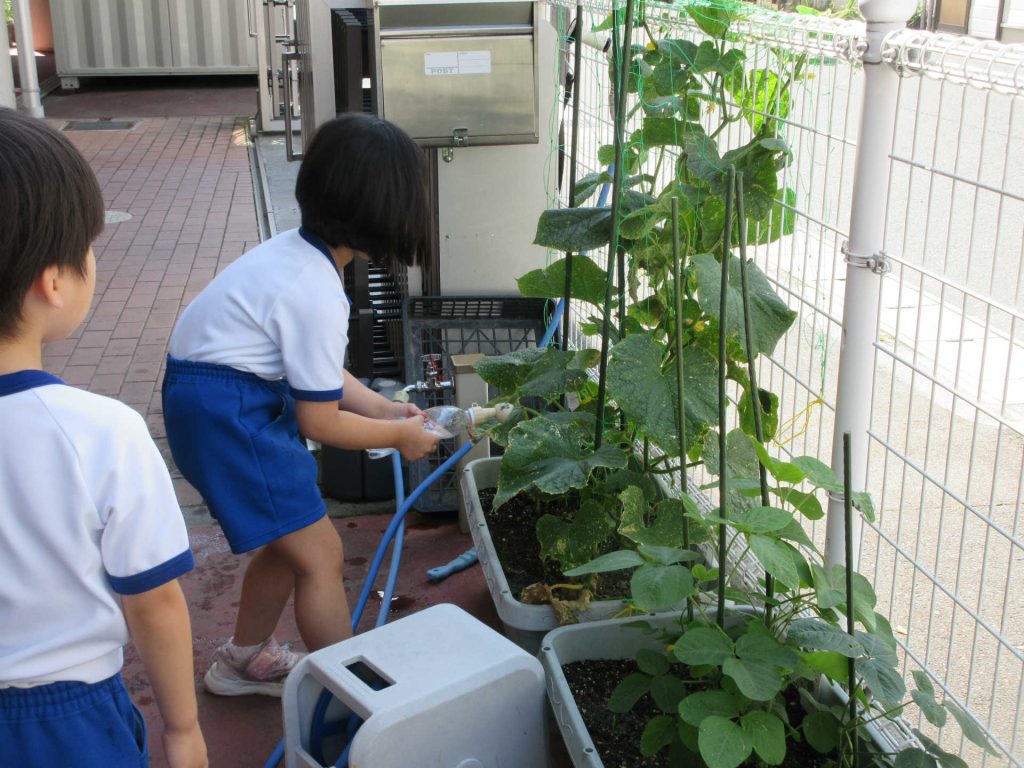 0617今日のばら組さん