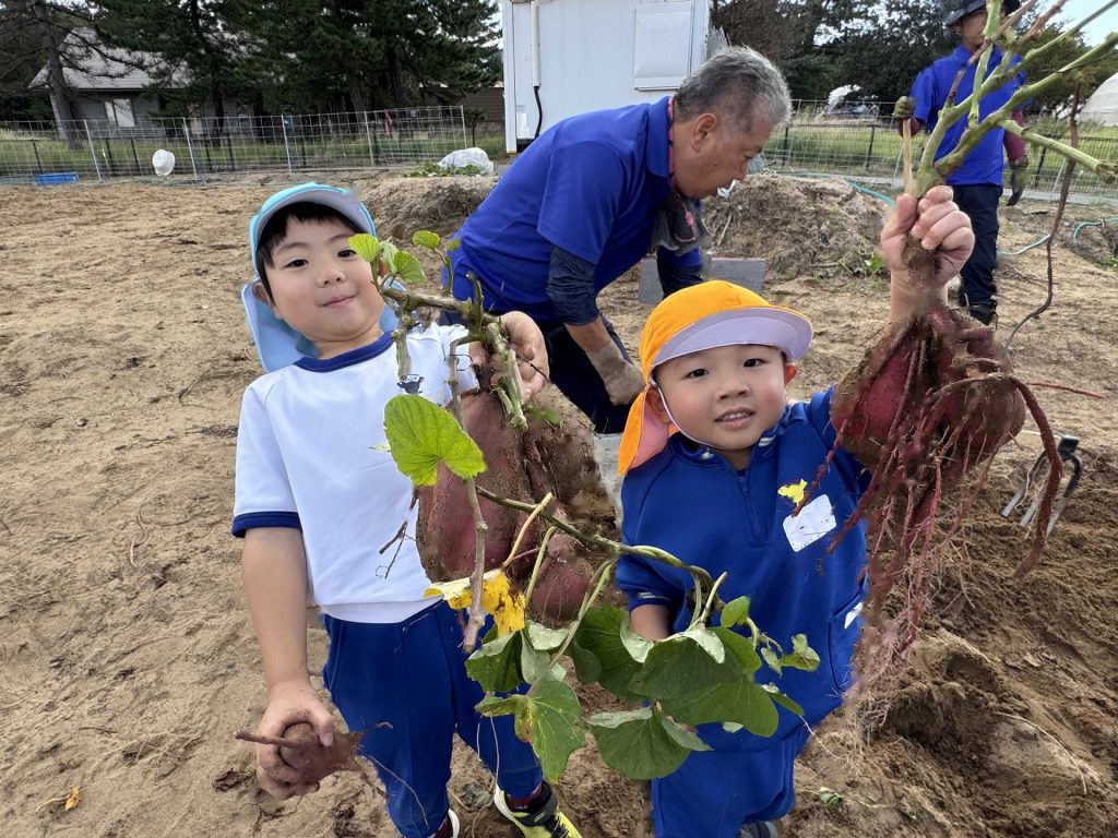 【年少・年中組 いもほり園外保育】
